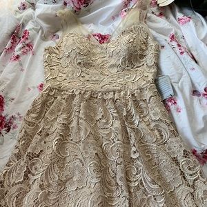 Adrianna Papell  lace midi dress (size 12)